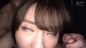 まとめようとしましたが、なんの作品かわからなくなってしまったものです